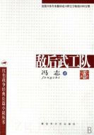 《敌后武工队》共29集_大陆电视剧全集剧情文案