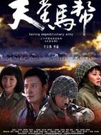 《天堂马帮》共30集_2012大陆电视剧全集剧情文案