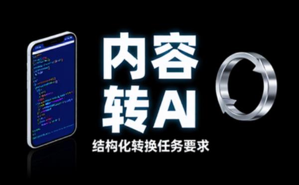 内容转JSON格式的任务要求