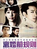 《离婚前规则》共34集_2012大陆电视剧全集剧情文案