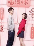 《嘀！男友卡》共20集_2019大陆电视剧全集剧情文案