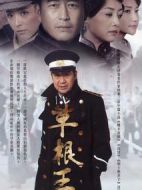 《草根王》共30集_大陆电视剧全集剧情文案