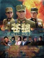 《苍狼》共46集_2013大陆电视剧全集剧情文案