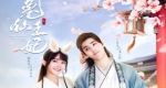 《兔仙王妃》共24集_其他电视剧全集剧情文案