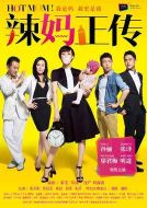 《辣妈正传》共38集_2013大陆电视剧全集剧情文案