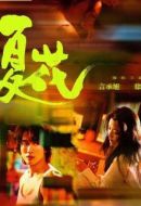 《夏花》共24集_其他电视剧全集剧情文案