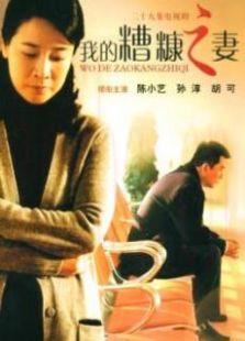 《糟糠之妻》共集_内地电视剧全集剧情文案