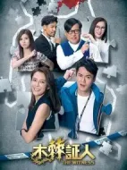 《木棘证人》共20集_香港电视剧全集剧情文案