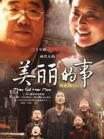 《美丽的事》共36集_2009大陆电视剧全集剧情文案