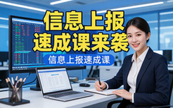 信息上报速成课-职场新人适用-快速成高手-视频资料