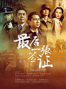 《最后一张签证》共46集_大陆电视剧全集剧情文案