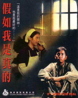 《假如我是真的》共31集_1981台湾电视剧全集剧情文案