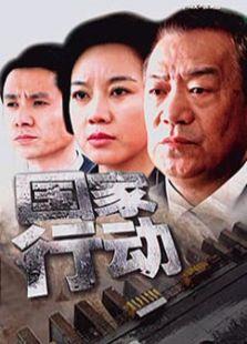 《国家行动（2009版）》共集_内地电视剧全集剧情文案