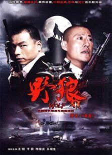 《野狼》共集_内地电视剧全集剧情文案
