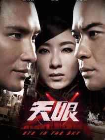 《天眼》共20集_2015香港电视剧全集剧情文案