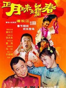 《正月里来是新春》共18集_2010大陆电视剧全集剧情文案