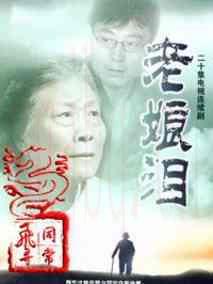 《老娘泪》共20集_大陆电视剧全集剧情文案