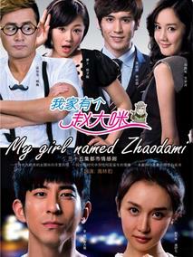 《我家有个赵大咪》共35集_2013大陆电视剧全集剧情文案