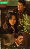 《风吹半夏》共36集_其他电视剧全集剧情文案