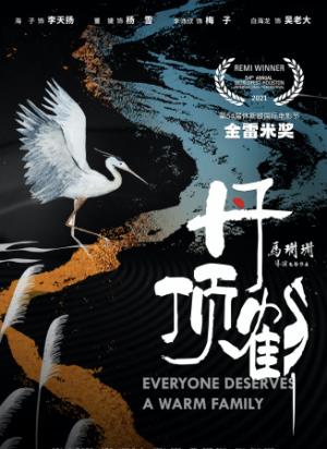 《丹顶鹤》扎龙芦苇荡，她用生命守护丹顶鹤