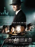 《我的绝密生涯》共38集_2014大陆电视剧全集剧情文案
