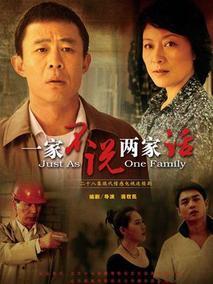 《一家不说两家话》共28集_大陆电视剧全集剧情文案