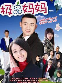 《极品妈妈》共28集_大陆电视剧全集剧情文案
