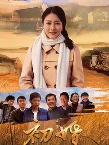 《初婚》共35集_2018大陆电视剧全集剧情文案