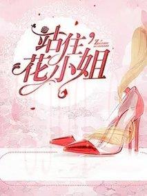 《站住！花小姐》共24集_大陆电视剧全集剧情文案