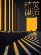 《精英律师》共45集_大陆电视剧全集剧情文案