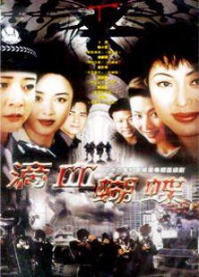 《火蝴蝶》共40集_香港电视剧全集剧情文案