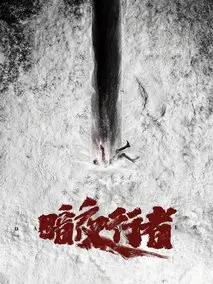 《暗夜行者》共24集_其他电视剧全集剧情文案