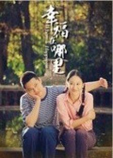 《幸福在哪里（王雷版）》共36集_内地电视剧全集剧情文案