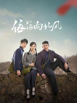 《依依向北风》共38集_2025年中国内地电视剧全集剧情文案