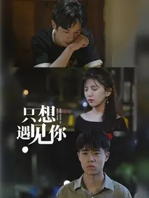 《只想遇见你》共30集_其他电视剧全集剧情文案