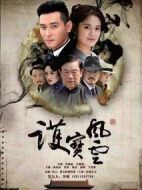 《护宝风云》共36集_2016大陆电视剧全集剧情文案