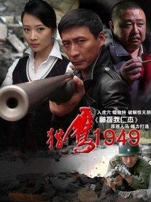 《猎鹰1949》共39集_大陆电视剧全集剧情文案
