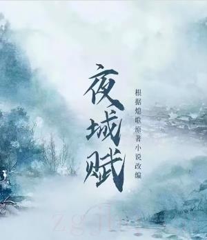 《夜城赋》共16集_其他电视剧全集剧情文案