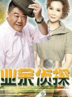 《业余侦探》共20集_大陆电视剧全集剧情文案