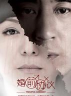 《婚前协议》共40集_2013大陆电视剧全集剧情文案