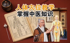 人体穴位教学视频-中医爱好者-逐个讲解穴位功效-基础知识学习资料