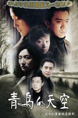 《青鸟的天空》共26集_大陆电视剧全集剧情文案