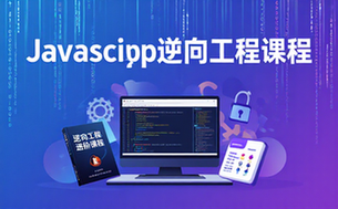 JavaScript逆向工程进阶课程-开发者-代码调试反编译-视频课程