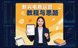 新兴电商平台运营教程-电商从业者-高成交思路-抢流量-资料包