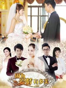 《因为爱情有多美》共108集_2013大陆电视剧全集剧情文案