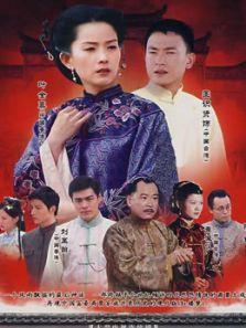 《辛家媳妇》共24集_内地电视剧全集剧情文案