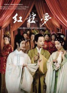 《新红楼梦（2010版）》共50集_内地电视剧全集剧情文案