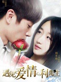 《遇见爱情的利先生》共41集_大陆电视剧全集剧情文案