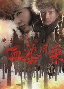 《战火中青春2血染风采》共32集_内地电视剧全集剧情文案