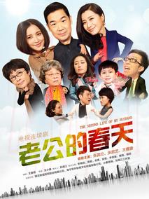《老公的春天》共36集_2013大陆电视剧全集剧情文案
